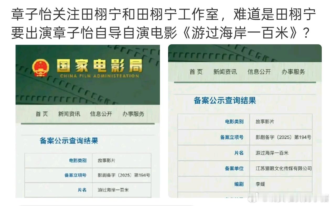 田栩宁回关章子怡，网传因风险问题将换掉吴慷仁合作电影《游过海岸一百米》。 