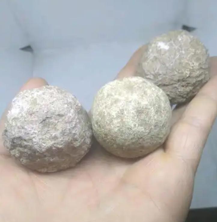 房东晒前租客