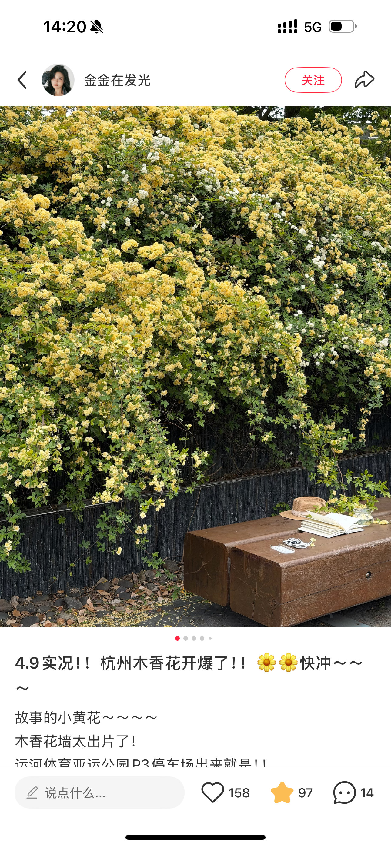 对了！你们如果想去拍木香花的！！不要去了！！因为已经凋谢啦，今天好几个小姐姐都跑