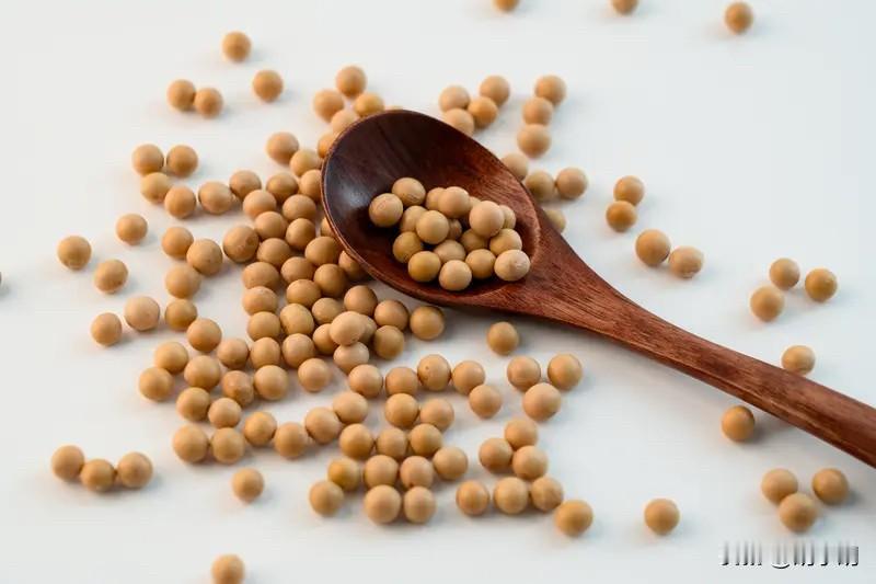 美方想和中方谈稀土、大豆等议题，主要是被形势所逼。10月中国对稀土出口技术严格限