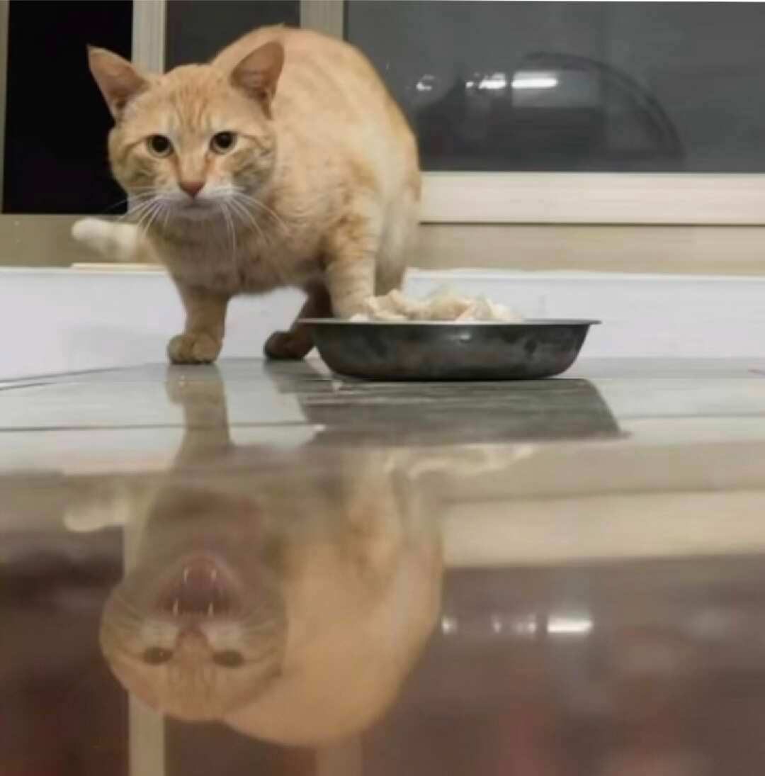 什么是张力呢？你且看 