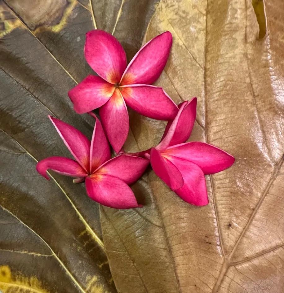 四十岁买新衣服，试一件愁一件穿休闲装少了年轻时的活力，套职业装素颜撑不起来；便宜