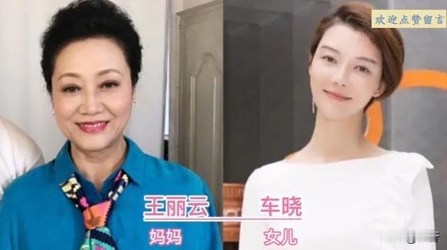 这些妈妈都曾是红极一时的美人，如今她们的女儿也出落得亭亭玉立，有的还继承了母亲的