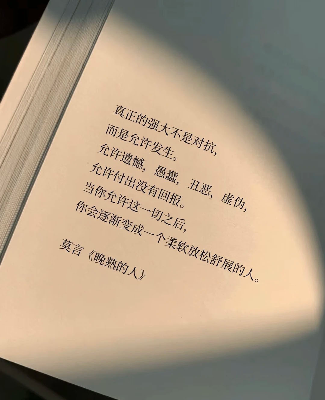 我的私人宝藏书单书评 有遗憾就有圆满，有愚蠢就有聪明，有丑恶就有美好，有虚伪就有