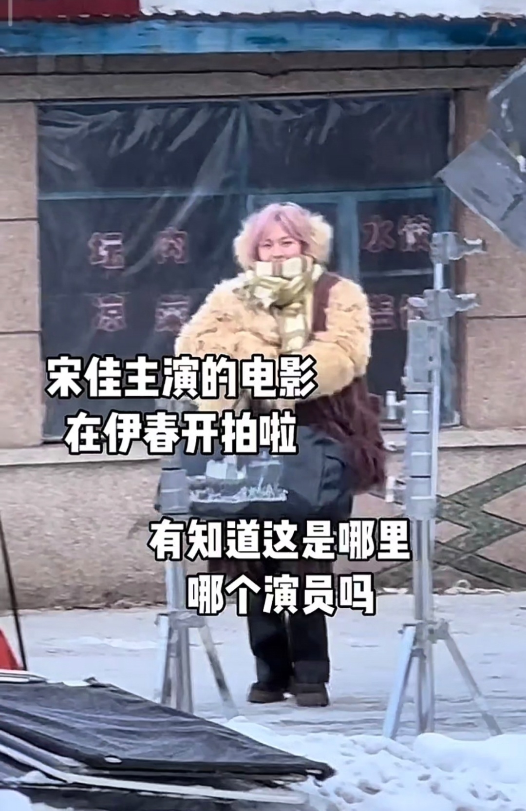 文淇粉发  文淇染了粉头发  新电影开拍，染了粉头发，好可爱~~ 