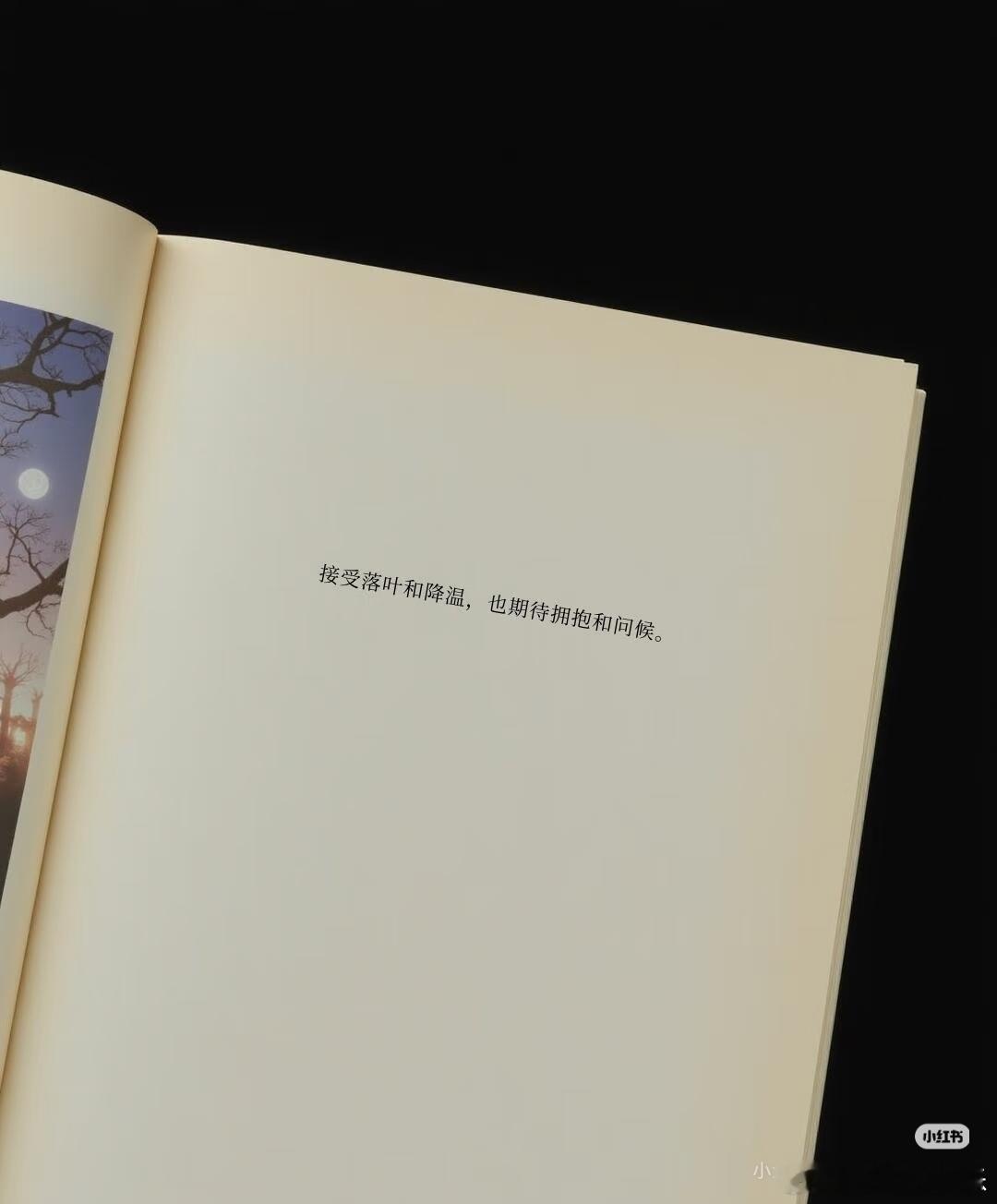 开始九月的美好生活，期待我团的25周年！ ​​​
