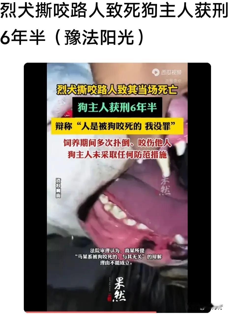 烈犬撕咬路人至亡，狗主人获刑六年六个月。烈犬不能养，咬人容易出事的。

这条闯祸
