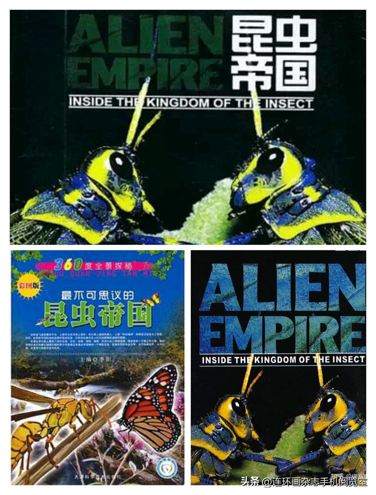微杂志〔《昆虫帝国》、朋友圈旅拍图选、社区宣传栏图选〕