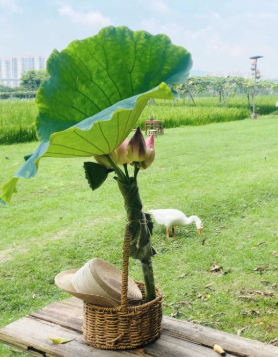 漂亮女人多穿这几款，轻松穿出高级感
亲爱的朋友们大家好，我是海林小百科，今天我们