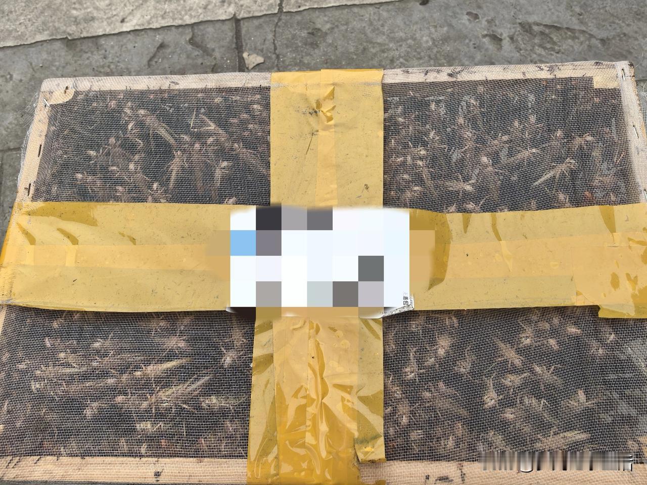 我发觉好像不开心的事情都是扎堆一块来的，这样也好呀！把所有的气闷在一块生了就不用