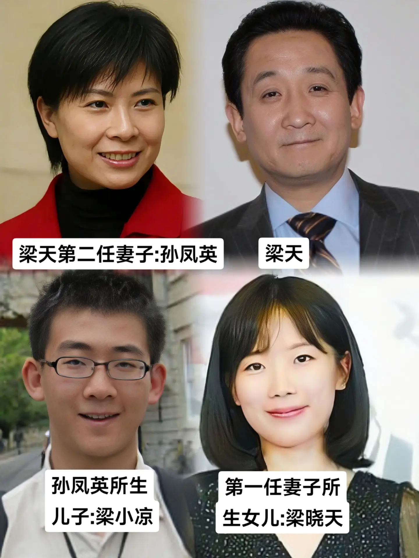 女儿和儿子(名字写反了)哪个更像爸爸？梁天1991年和第二任妻子离婚，目前单身。