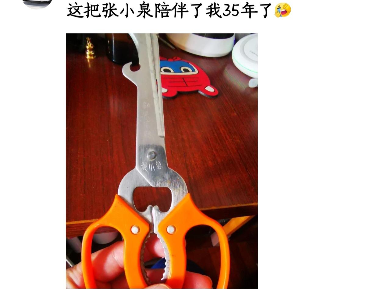 这或许也是张小泉倒闭的原因之一吧[祈祷]