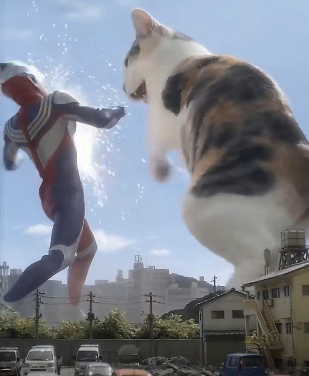 海外已夸爆Seedance2.0 很厉害，确实牛。但我始终担心的是怎么控制AI的