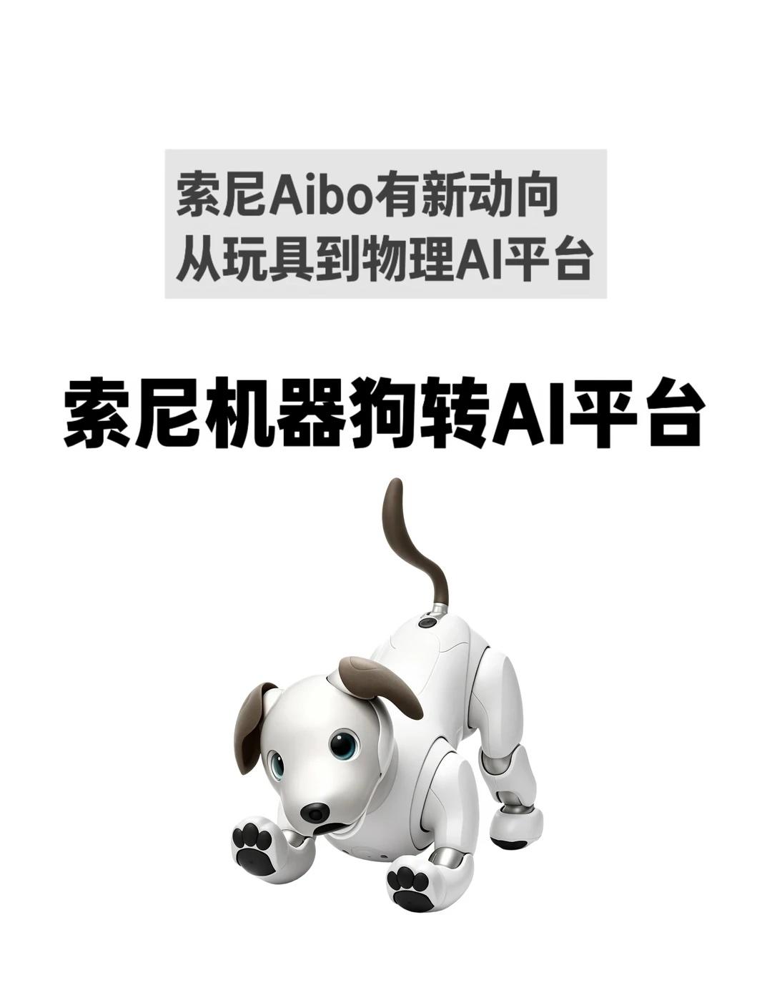 索尼Aibo停售转AI研究平台，同款可定制
索尼机器狗Aibo近期有了新动向 ?