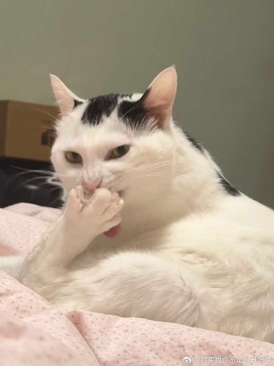 得能 