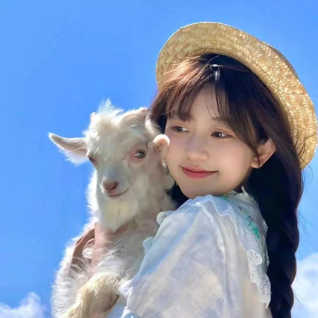 阳光明媚，我和小羊的欢乐时光！小羊羊没烦恼 草原小羊 小羊互动 牧场小羊 毛绒绒