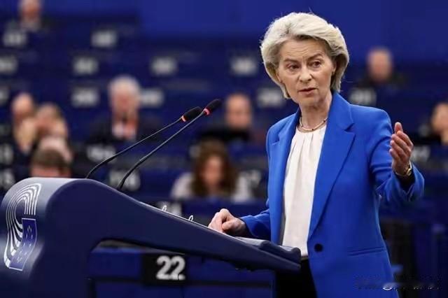 担心俄罗斯揍，被美国贬，却想在中国这里找补，欧洲国家为何如此“下三流”？

欧洲