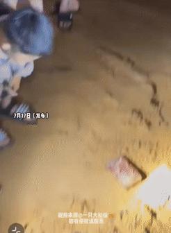 丧尽天良！海南陵水，游客带着孩子半夜到海边赶海，却意外发现沙滩下有人故意埋了一堆