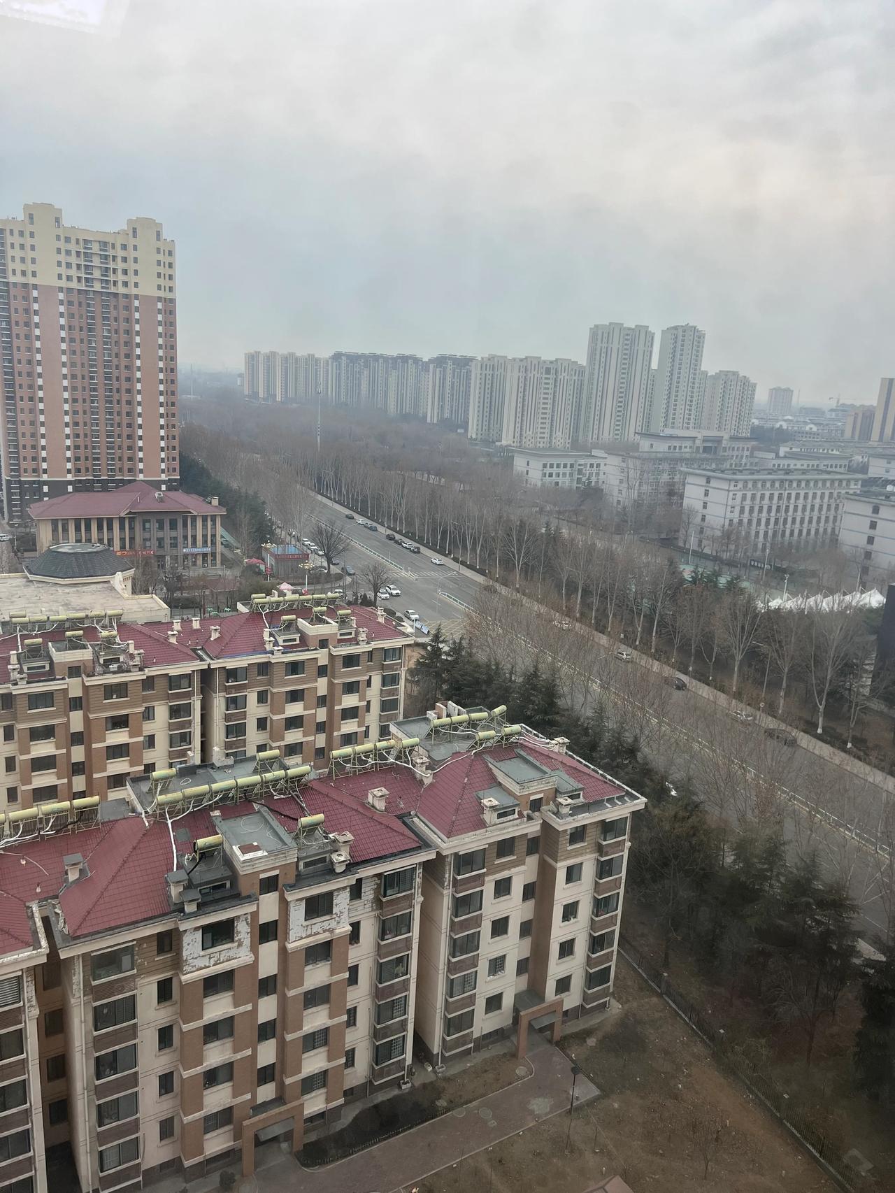 院子里静悄悄
路上的车辆🚗很少
大家都在休息吧
小狗🐶不淡定了
它按时起床