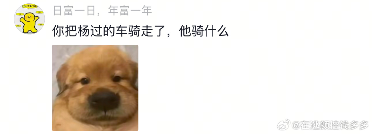 年纪轻轻喜提一把手～ 
