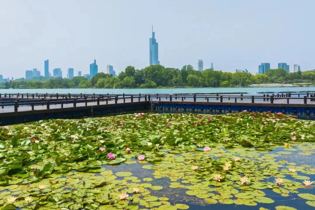 社会风气被这老头儿带坏了，那儿呢规矩和歪门邪道，小孩以教育熏陶艰苦朴素，自身努力