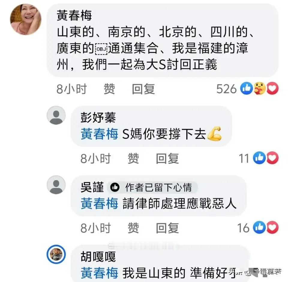 S妈号召大陆网友和在台外省人加入她的阵营，一起为大S讨回公道，还特地强调自己祖籍