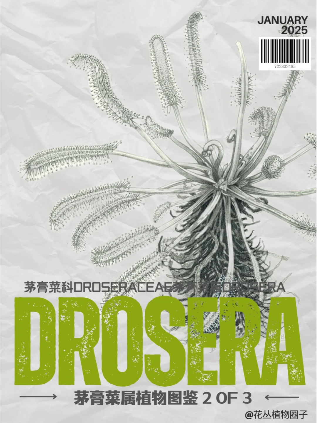 食虫植物茅膏菜图鉴3-2