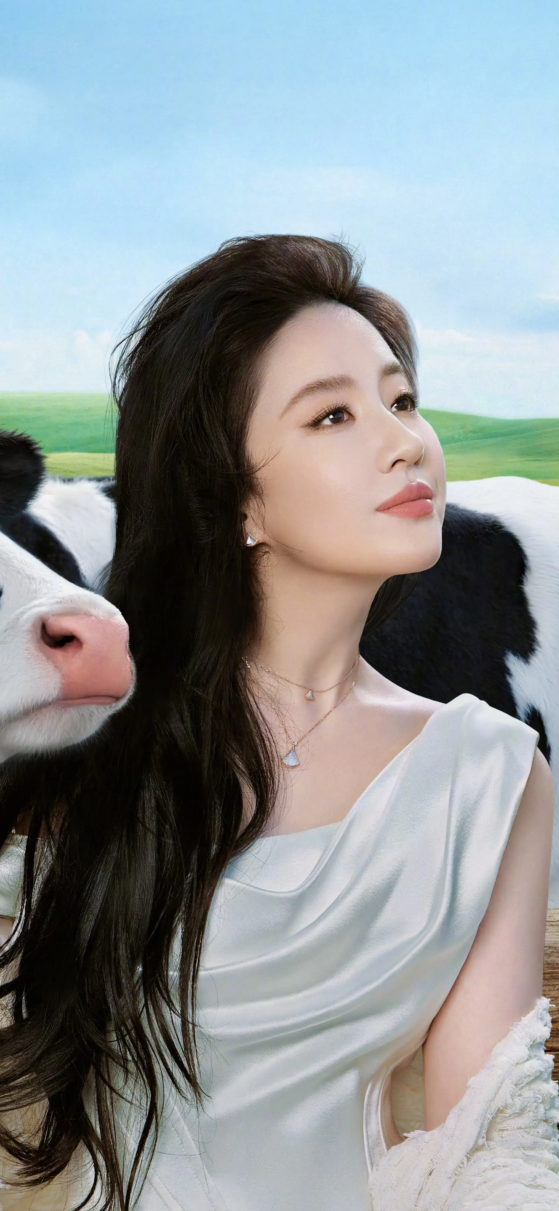 纯洁 美丽 高贵