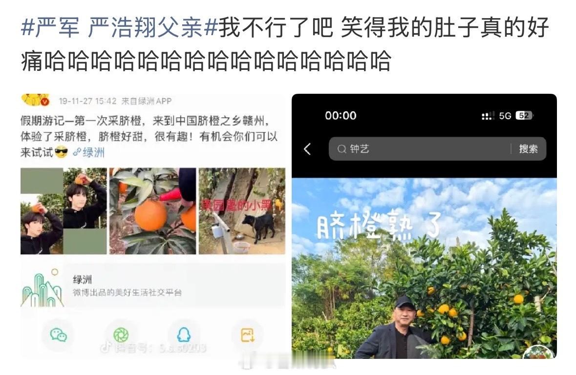 没看懂这条内容沙溢丝，这只能说明严浩翔是好样的，格局要比他爹大，除此之外还有什么