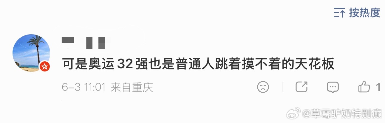 普通人也不去奥运会啊？普通人干的工作 石砌墙能干吗？普通人要是在工作里捅了石砌墙