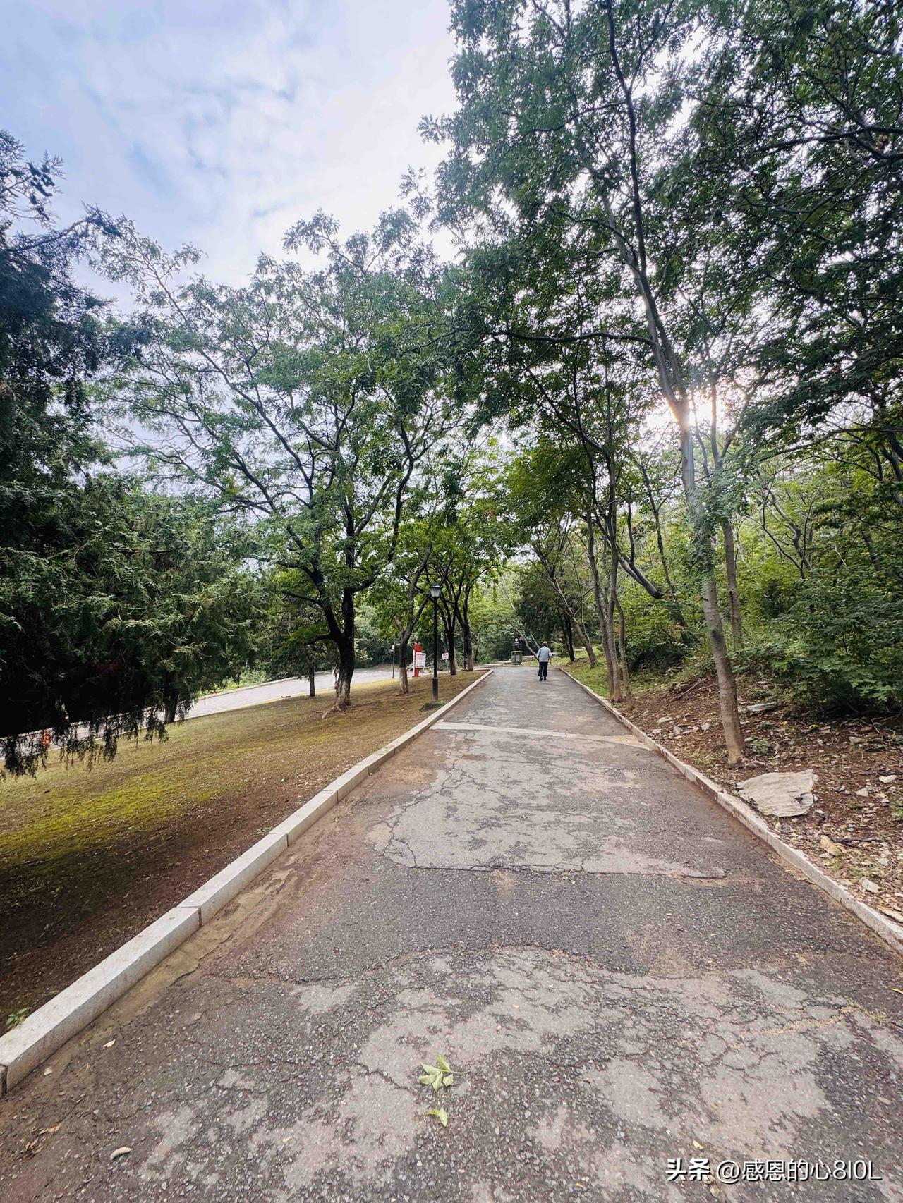 早上出门遛狗，我慢悠悠地在楼下小区里闲逛。
走到8号楼楼下时，两位六十多岁的大姐