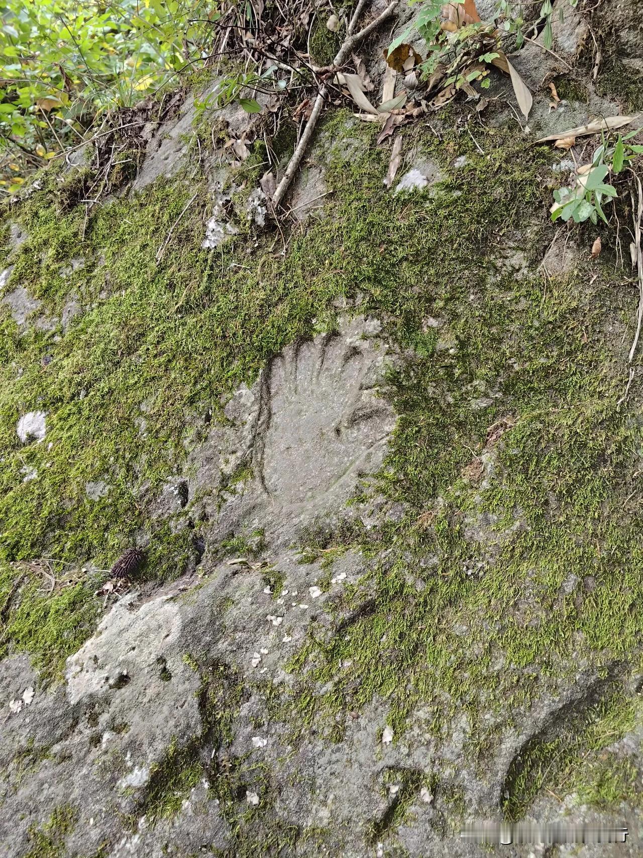 #秋日生活打卡季#时光

都说秋天的暮色飘洒着愁绪
黄昏的炊烟在屋顶不愿离去
消