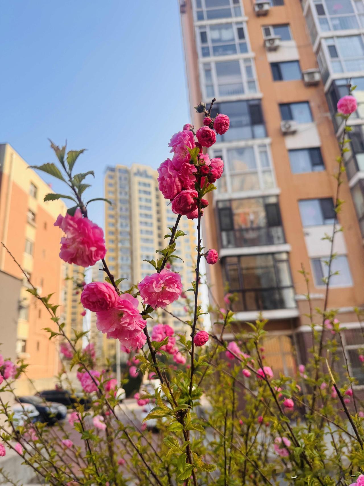 不是存款，不是房子，也不是面子。

我觉得，人老了。
是有个好身体，能自理，不拖