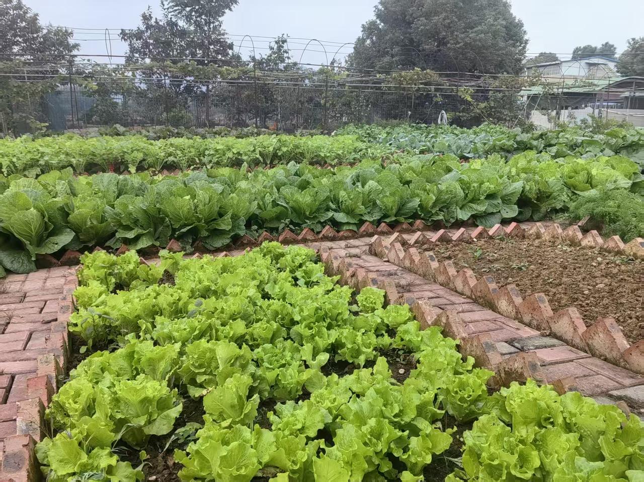 我新发布的内容被官方推荐啦！👍你也快来发布一条吧！带记录真实生活话题，更容易被