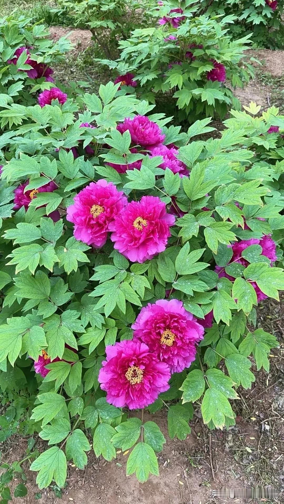 相册里最满意的照片