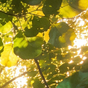 清晨第一缕阳光，照亮奋斗的路。新的一天，愿你奋斗不息，终获成功。早安！ 