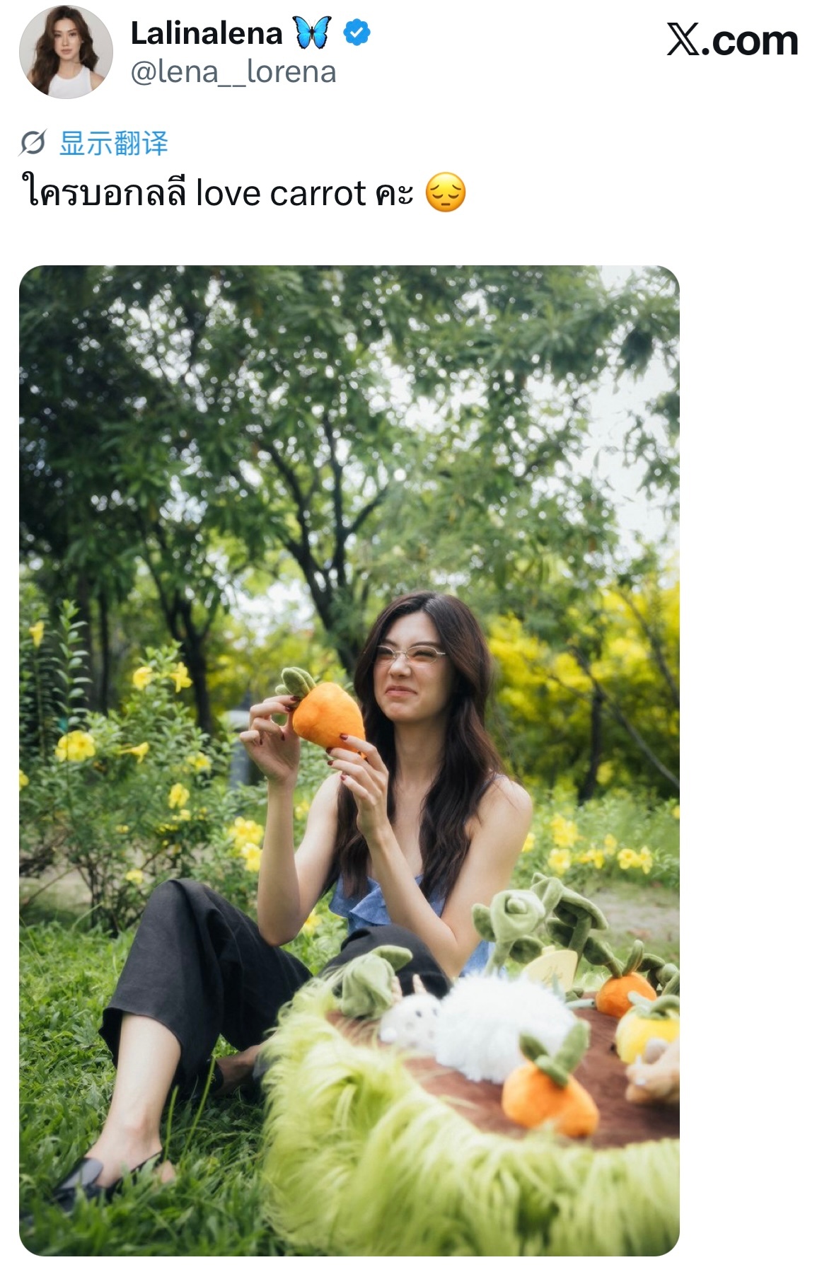 🦋：谁说lali喜欢胡萝卜的😔