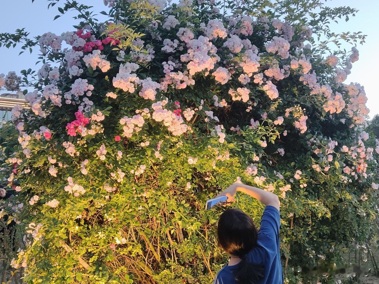 一辈子匆匆而过，别再委屈自己、将就生活，记住三句话：自己开心最重要，身体健康最珍