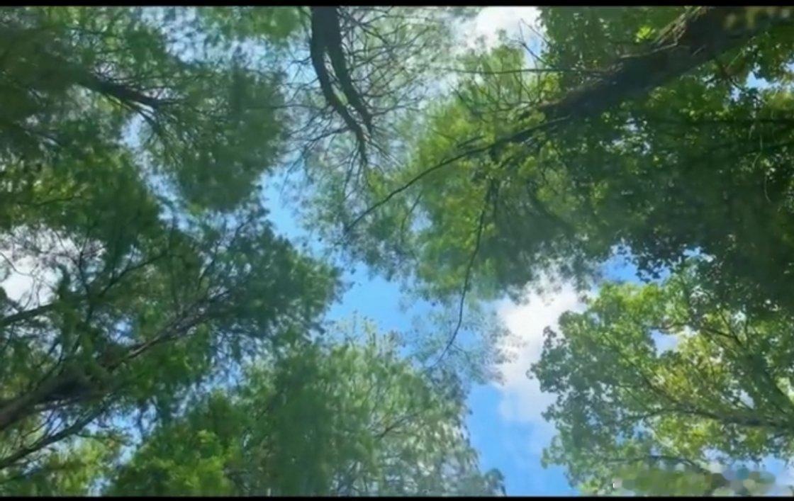 早安   𝔹𝕖 𝕞𝕪𝕤𝕖𝕝𝕗 𓏲🌤️出门撒欢去🐾     