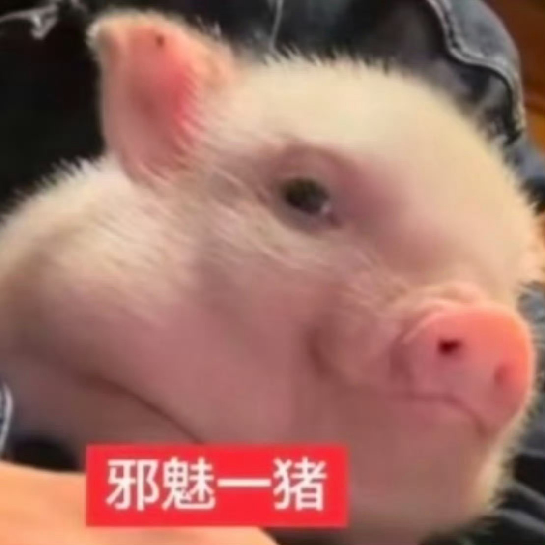 有好心人愿意和这几个沙贝🈷️养铁吗？这三个人无属无雷🈷️长期续🔥 ​​​