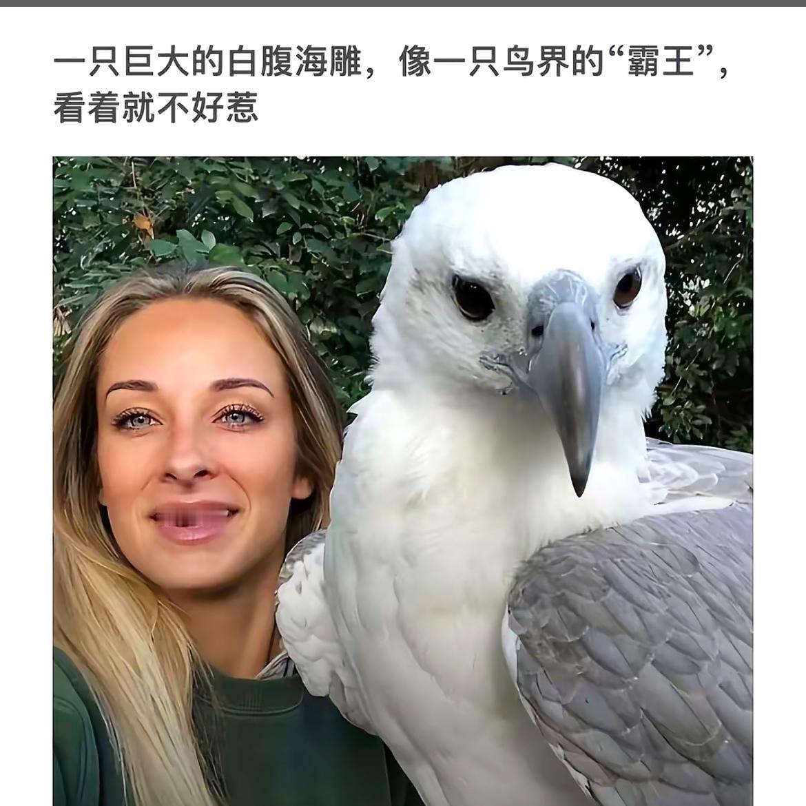 与海雕的亲密时刻，感受自然的魅力！🐦🌿