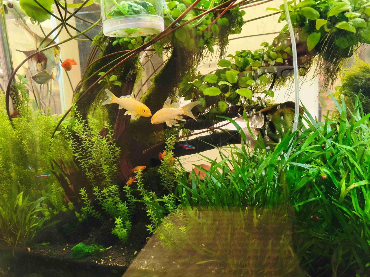 我的今日状态：😁轻松愉快
我这里的天气：☀️晴天