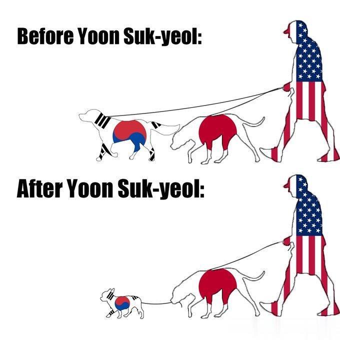 托尹总统的福，思密达这国际地位是日渐提升啊。这漫画不错，形象生动，特别是这吉娃娃