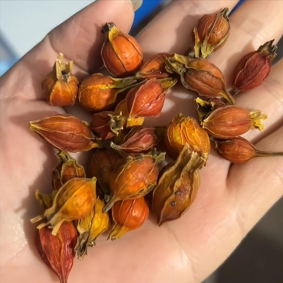 一个止早泄、缩尿频的小方子，看似平常，却能四两拨千斤！


行医 30 多年，我