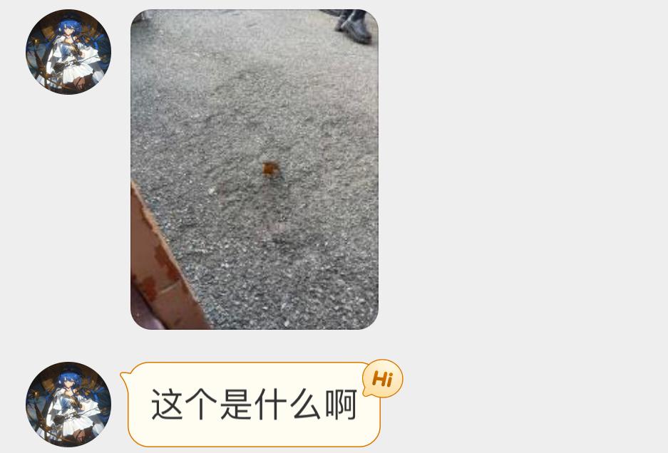 #鸟粉投稿# 圆滚滚的【欧亚鸲qú】它的另外一个名字你肯定听过 “知更鸟” ​​
