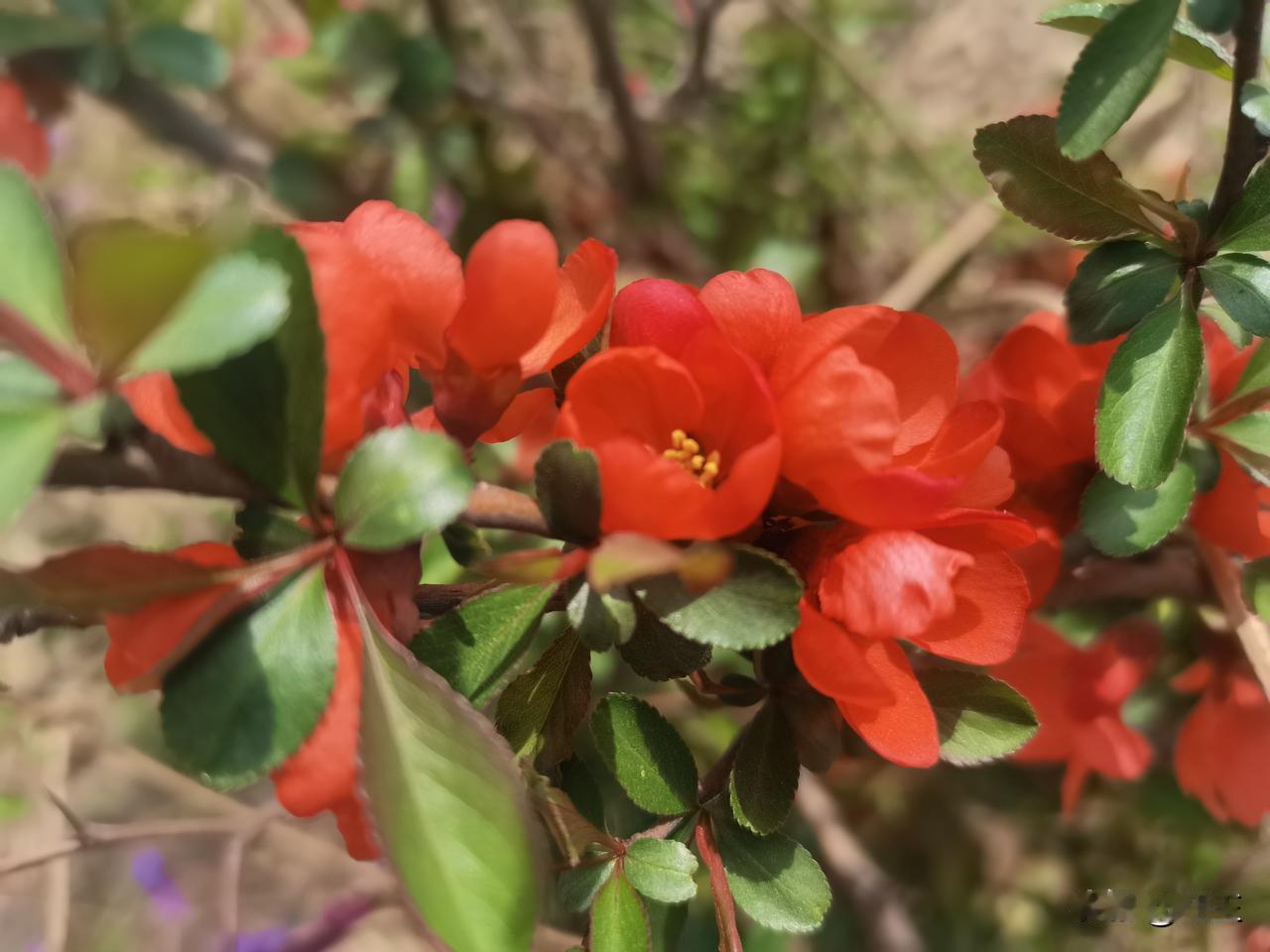 当皇太子其实也是危险活，特别是皇帝年纪不大时候生的孩子。

古代都是终身制，皇太