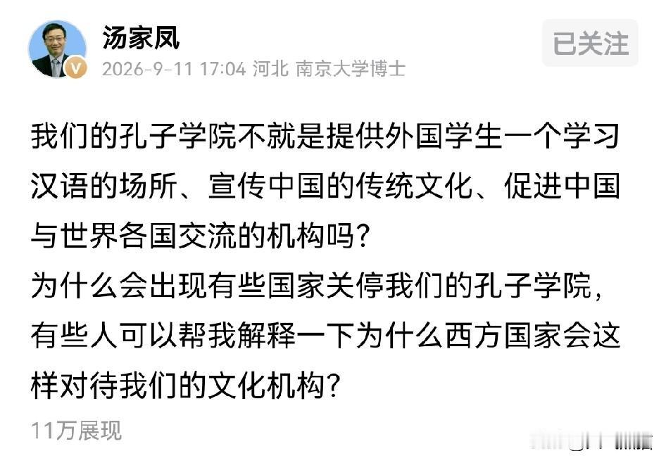 汤家凤提出一个疑问，有人把英语看的如此重要，但咱们孔子学院本来就是给外国人学中文