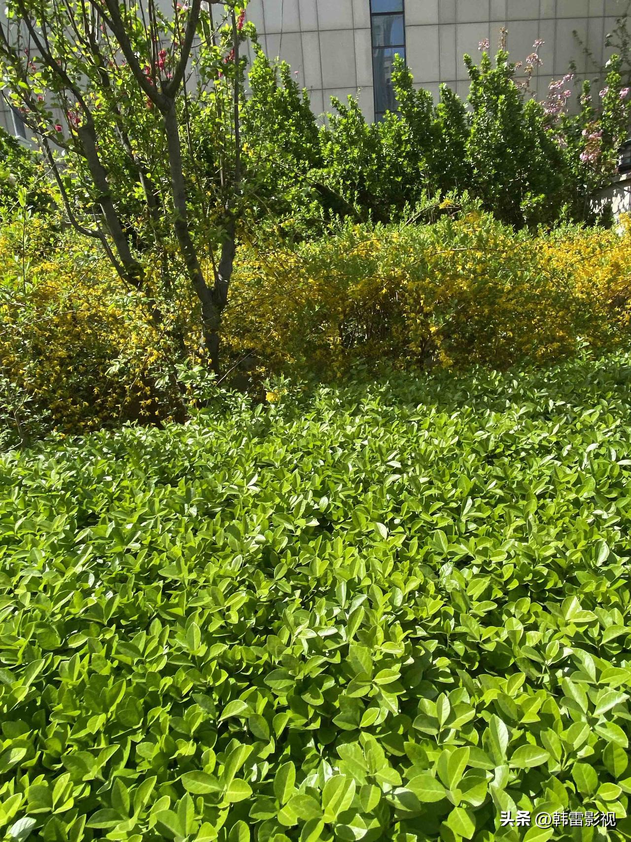 这个班是非上不可吗？

不知道从何时开始，加班已经变成一种文化，很多企业还以加班