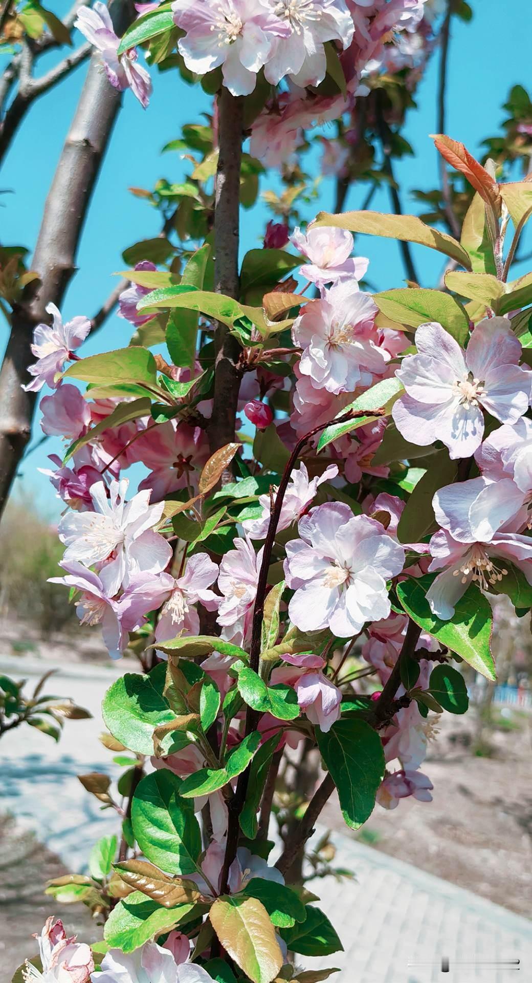 上联：山重水复疑无路；你对下联柳暗花又一村。