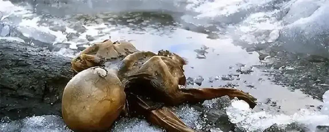 1991年，一对夫妻攀登3000米的阿尔卑斯山时，发现了一个趴在雪中的冰人。他右